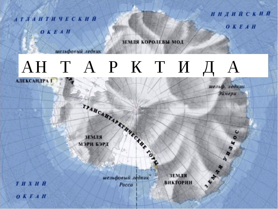 Антарктида на карте. Карта Антарктиды географическая. Антарктида материк на карте.