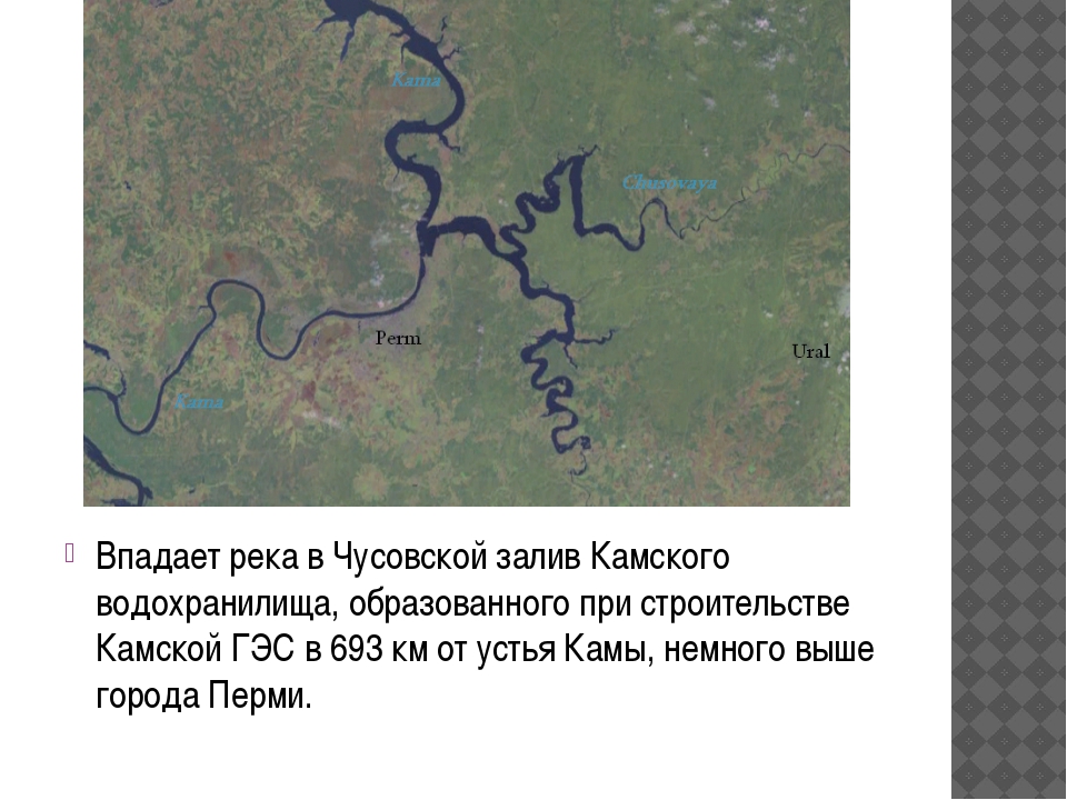 Притоки впадающие в реку справа. Река Кама карта схема. Река Кама и Чусовая на карте. Река Чусовая впадает в каму. Река Чусовая географическое положение.