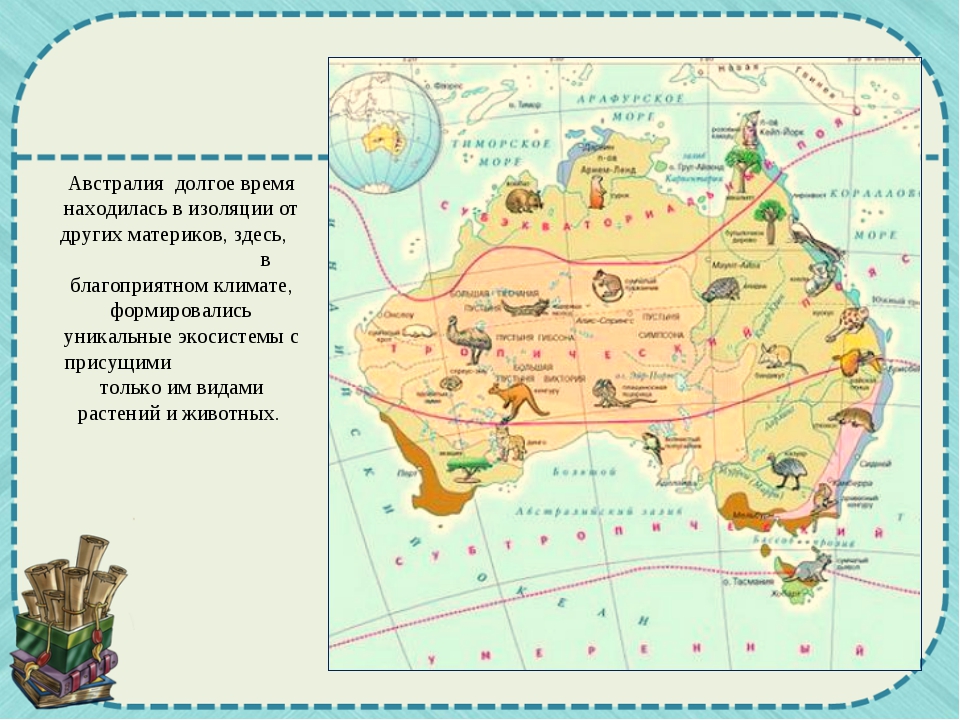 Картинки об австралии для детей
