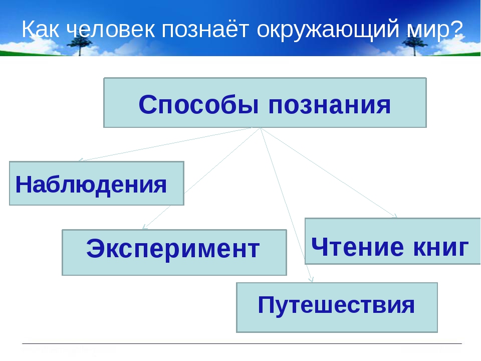 Реферат на тему процессы. Способы познания человеком окружающего мира. Как челрвек познаёт мир. Как человек познает миф.