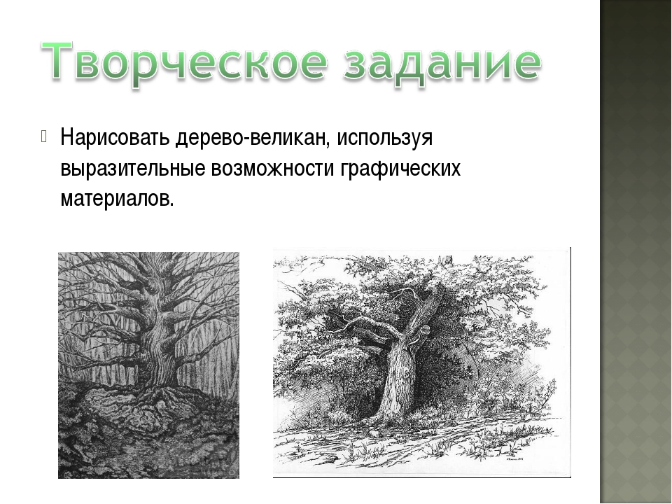 Урок дерево 8 класс. Выразительные возможности графических материалов «деревья».. Рисуем деревья интересным способом 2 класс. Как нарисовать древесину. Нарисовать дерево клеевым пистолетом.