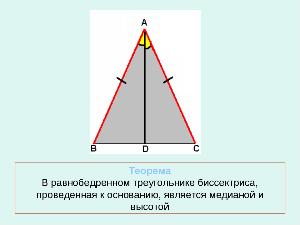Укажите равнобедренные треугольники. Биссектриса в равнобедренном треугольнике. Биссектриса равностороннего треугольника. Высота в ytравнобедренном треугольнике. Биссектриса в равнобедренном тр.