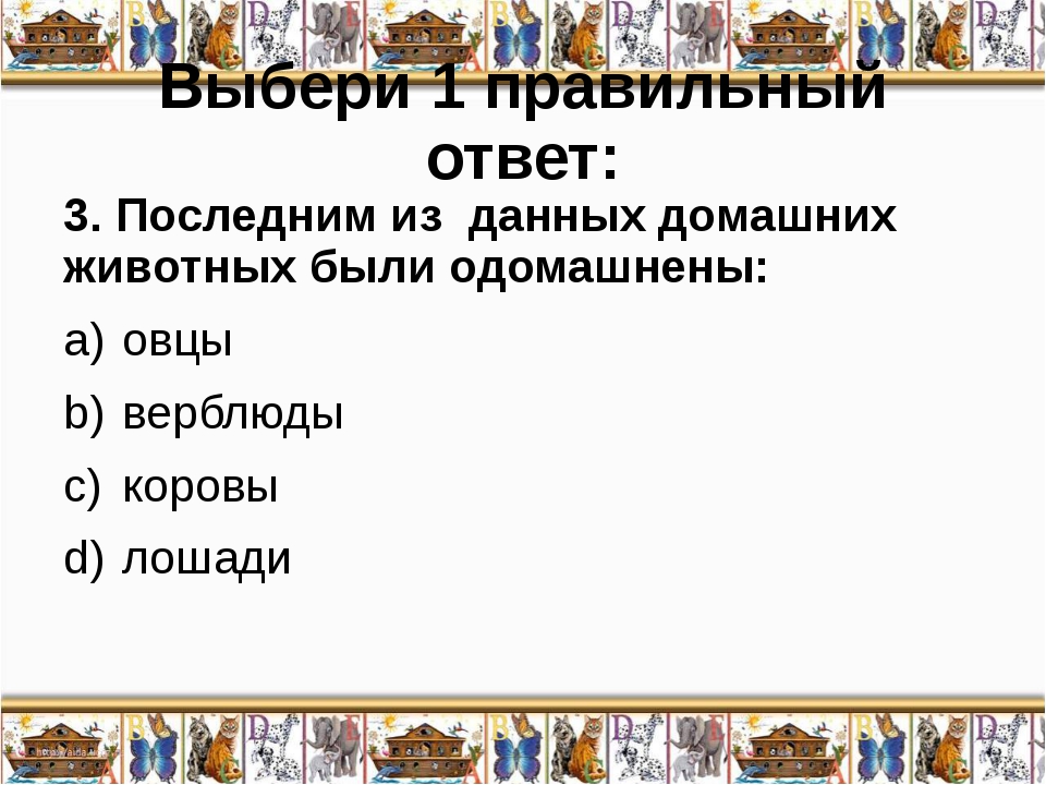 Домашние животные презентация 7 класс биология