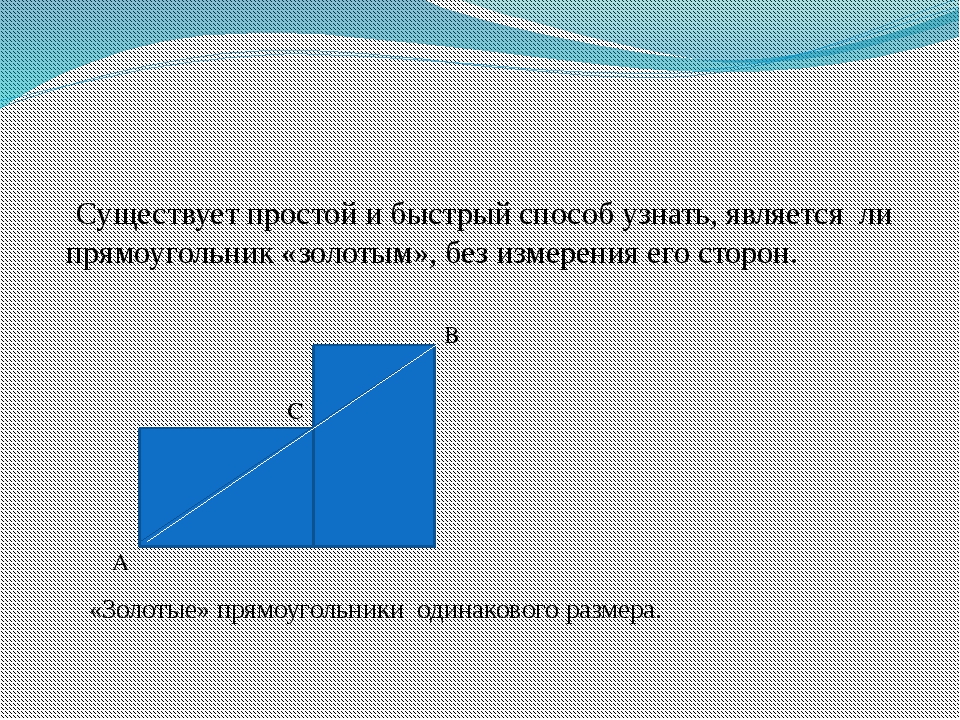 Золотое сечение математика проект