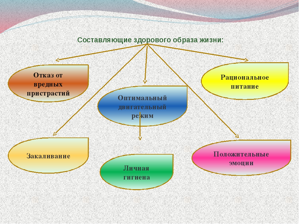 Схема формирования здорового образа жизни