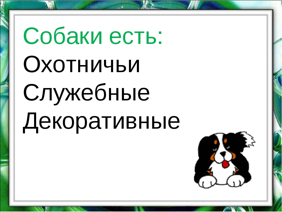 Сеф кто любит собак презентация 1 класс школа россии