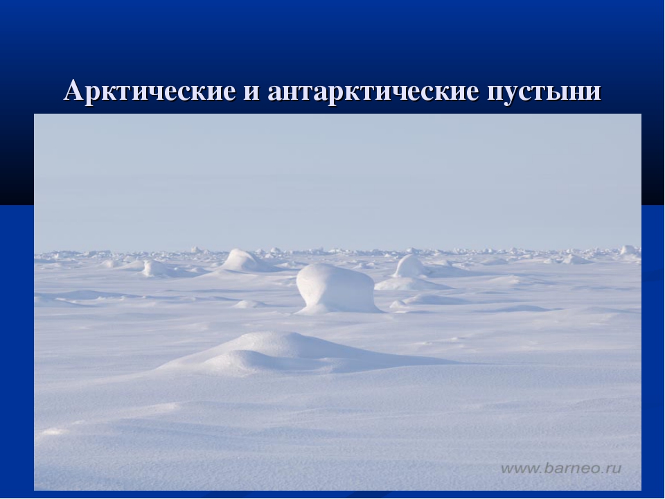 Арктические пустыни тест. Арктические пустыни и антарктические пустыни. Зоны арктических и антарктических пустынь. Арктическая и антарктическая пустыня. Антарктические пустыни климат.