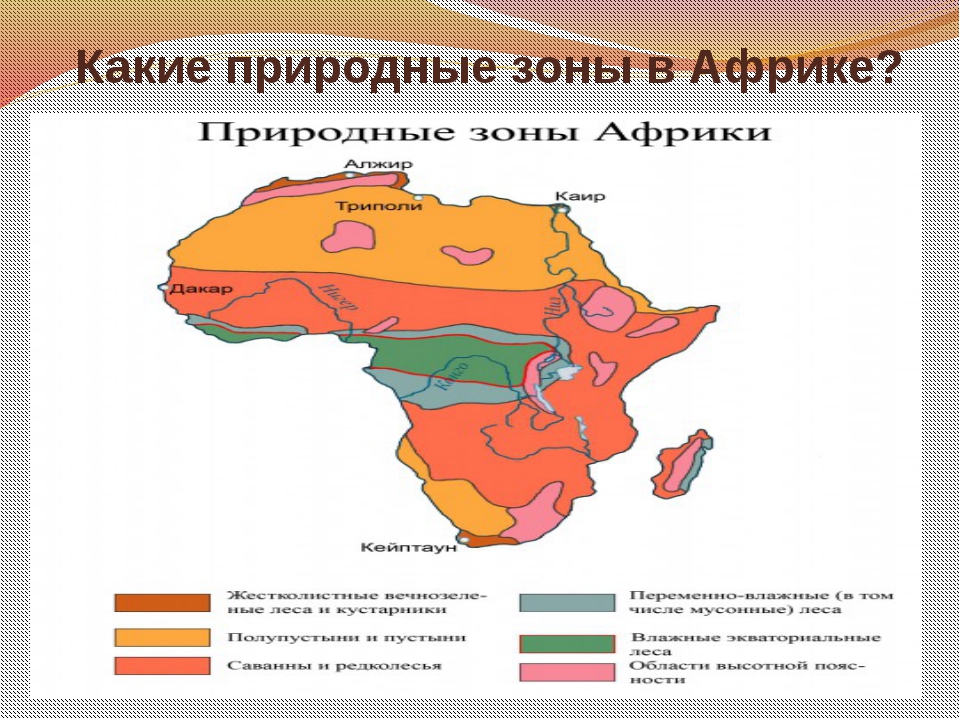 Природные зоны африки карта 7 класс