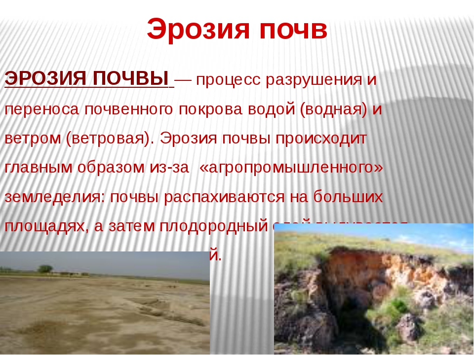 Водная эрозия