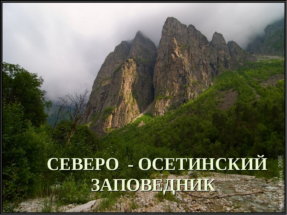 Северо осетинский заповедник. Гора Раро Южная Осетия. Алинский заповедник Северная Осетия. Плакучая гора Осетия. Гора обезьяна Южная Осетия.