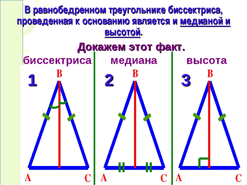 Построить треугольник по основанию и биссектрисе. Биссектриса и высота в равнобедренном треугольнике. Медиана биссектриса и высота равнобедренного треугольника 7 класс. Формула нахождения биссектрисы равнобедренного треугольника. Равнобедренный треугольник Медиана биссектриса и высота.