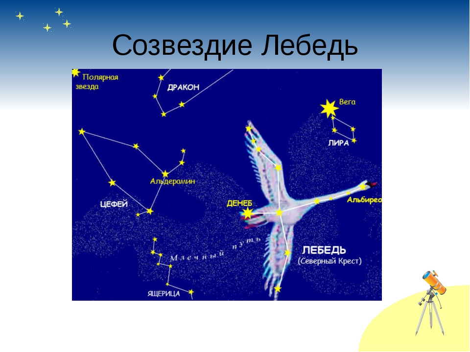 Созвездие лебедь фото