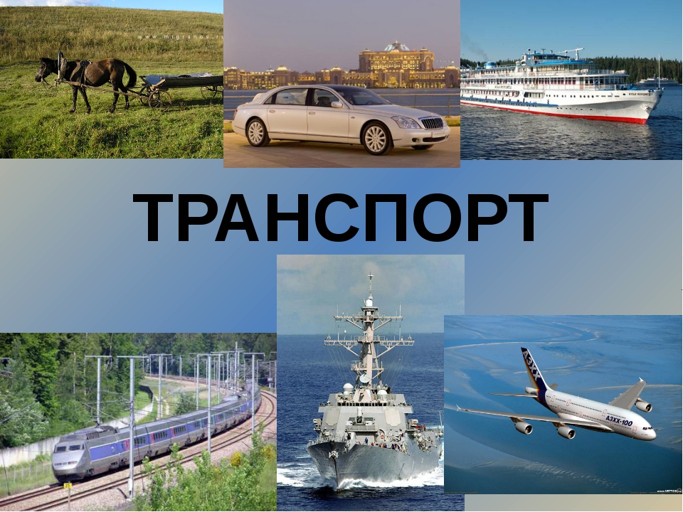 Вид транспорта авто