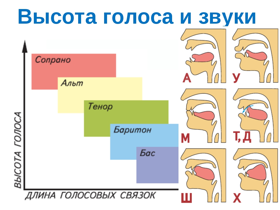 Что такое текстура голоса