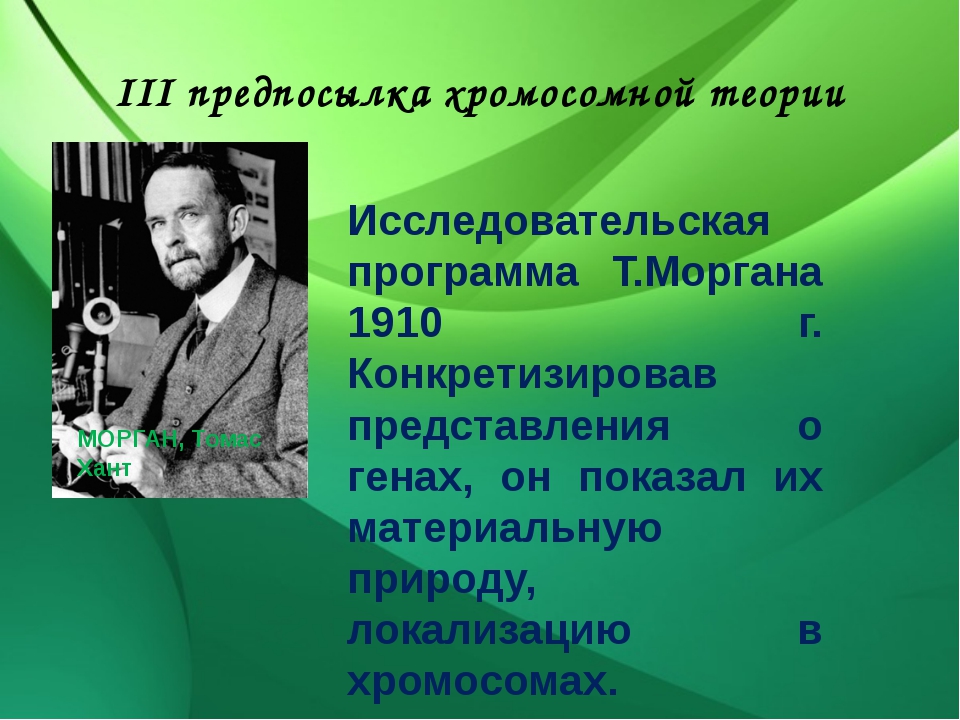 Хромосомная теория моргана кратко. Томас Морган теория наследственности. Хромосомная теория Томаса Моргана. Теория наследственности Моргана. Томас Хант Морган хромосома.