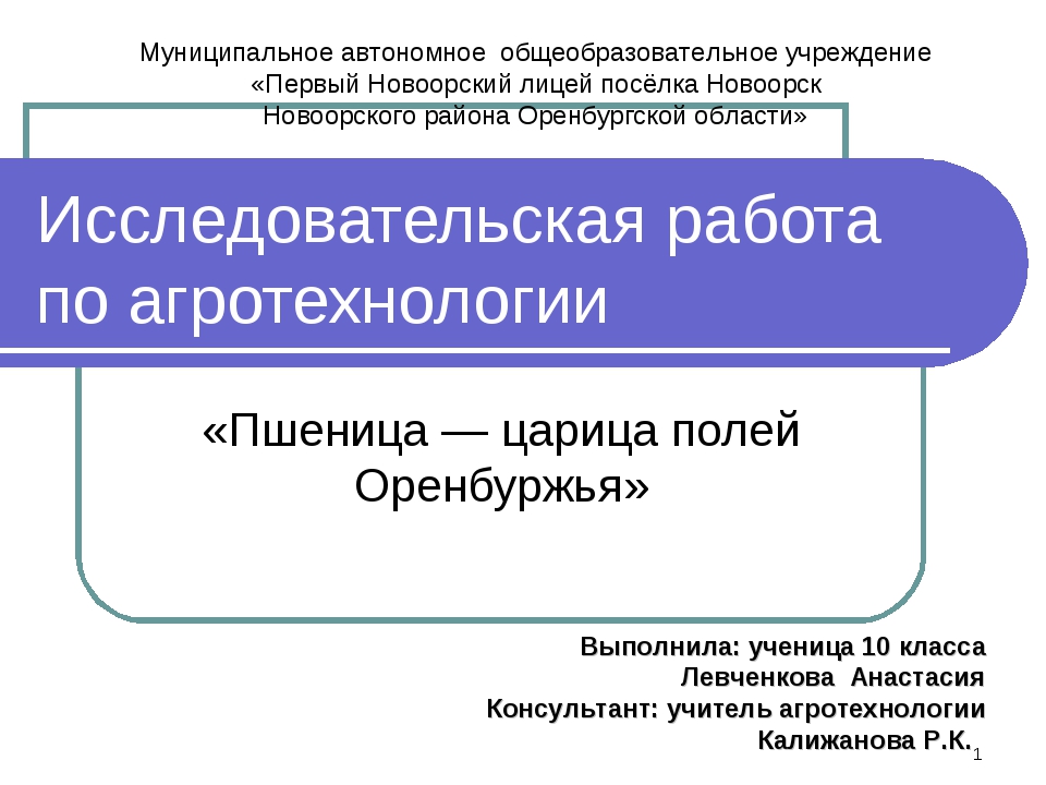 Исследовательская работа образец