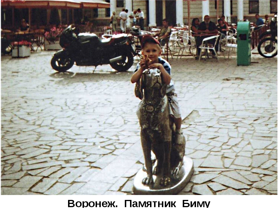 Фото белый бим черное ухо памятник в воронеже