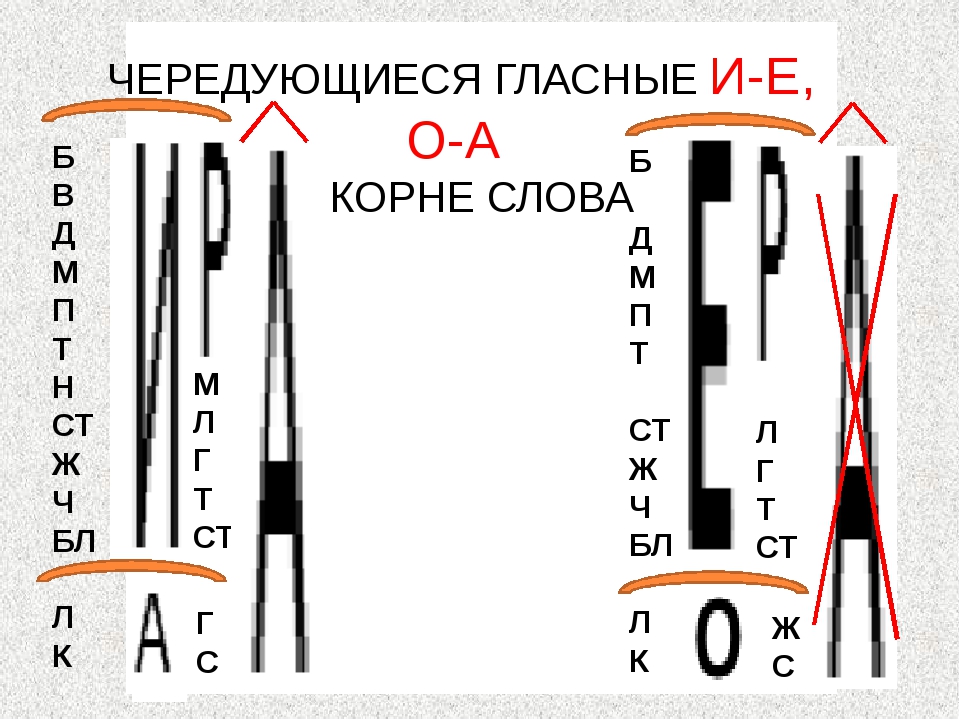 Длина машинного слова