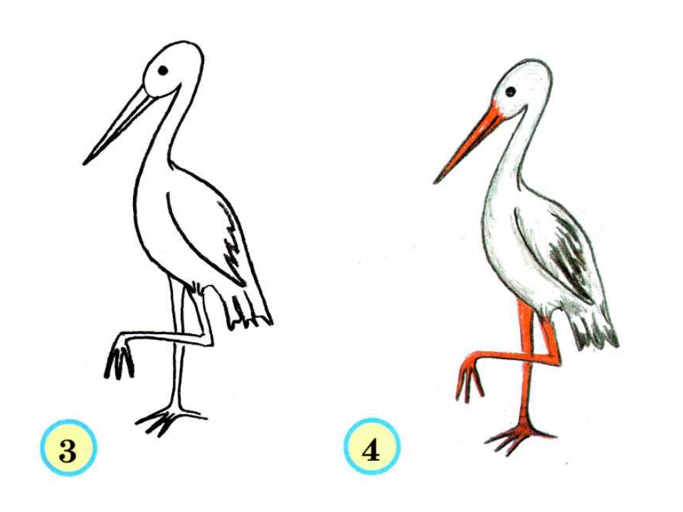 Рисуем цаплю поэтапно для детей