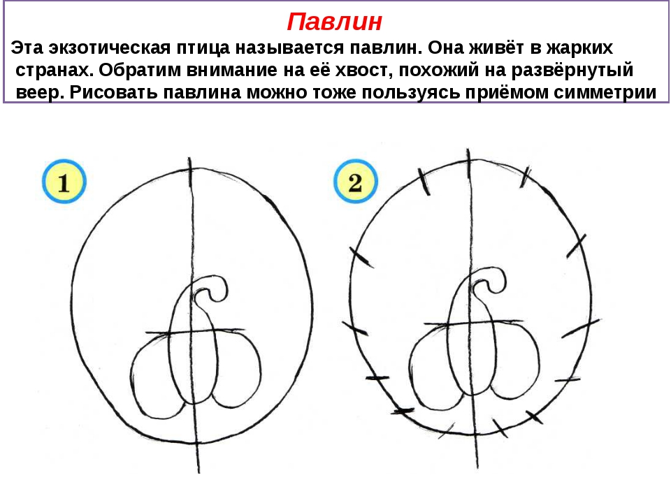 Изо 1 класс праздник птиц презентация поэтапное рисование