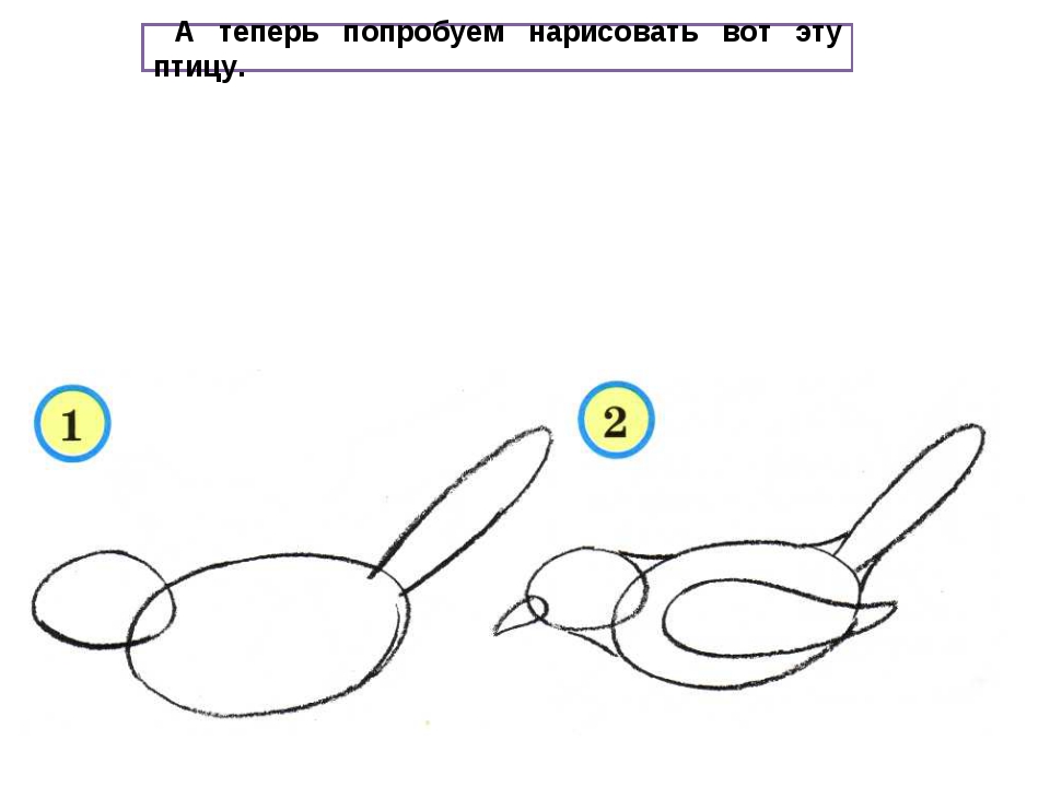 Как нарисовать птицу в фотошопе