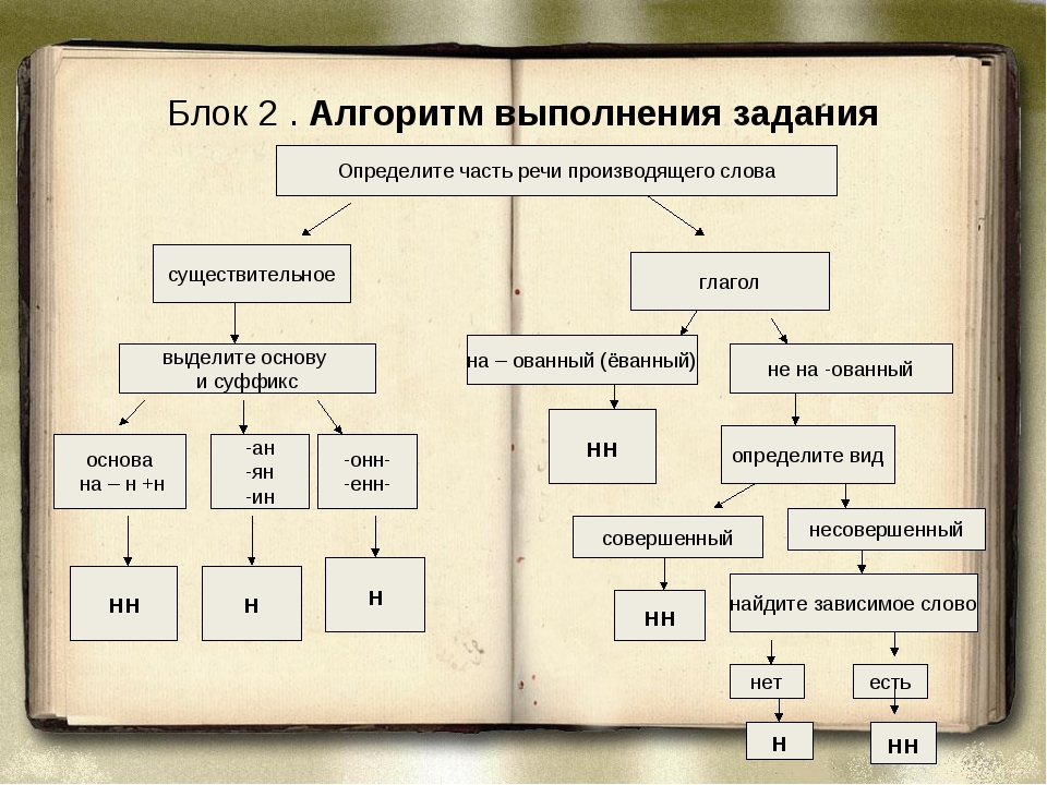 Практическая работа алгоритмы. Речевой алгоритм. Алгоритм проведения развития речи. Алгоритм выполнения для домоводства. Предмет речи алгоритм.