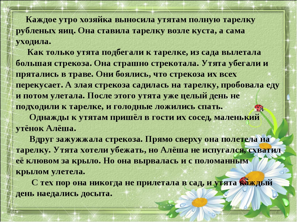 Утром ставила. Каждое утро хозяйка выносила утятам полную тарелку. Стрекоза и утята рассказ. Изложение Храбрый утенок 2 класс. Изложение Храбрый утенок.