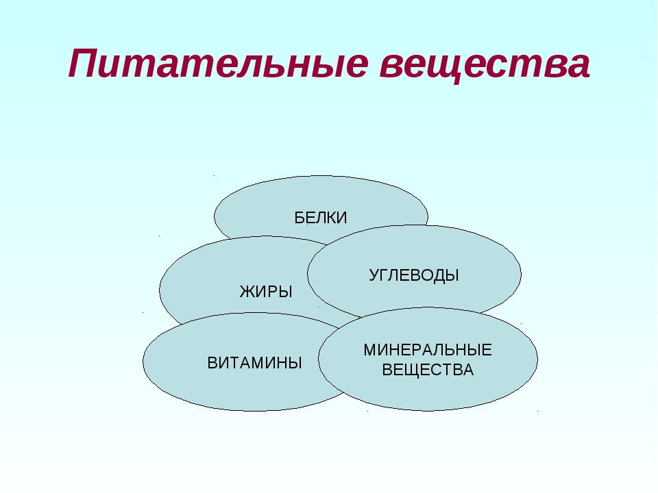 Белки углеводы витамины. Питательные вещества. Питательные вещества белки жиры углеводы. Белки питательные вещества. Белки, жиры, углеводы – это … Вещества..