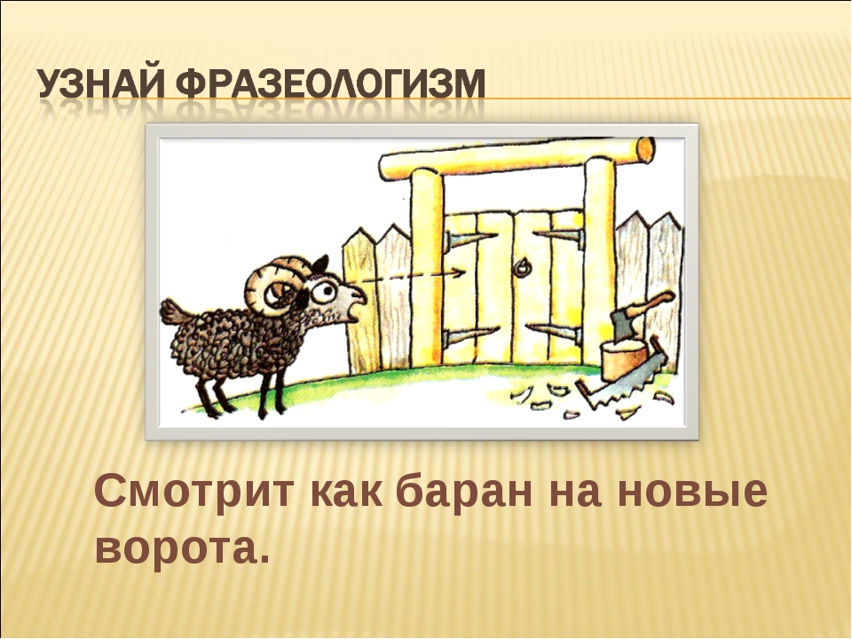 Новы ворота. Как баран на новые ворота. Как баран на новые ворота фразеологизм. Как барин на новые варота. Уставился как баран на новые ворота.