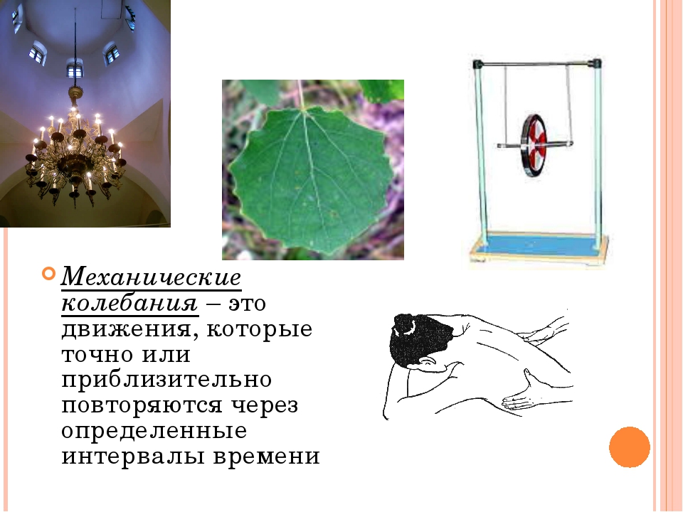 Полные механические колебания. Колебания это движения которые точно или приблизительно точно. Механические колебания фото. Механические колебания бабочек. Механические колебания в движении бабочки.