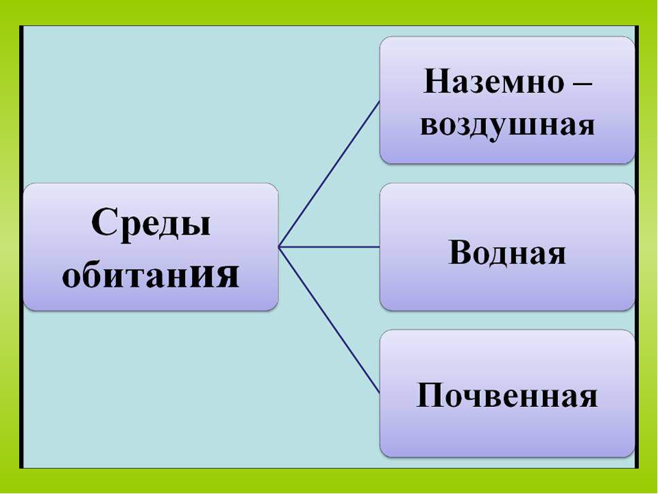 Организменная среда фото