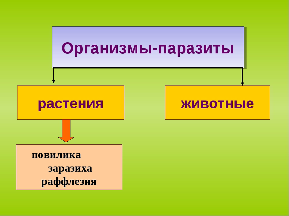 Организменная среда фото