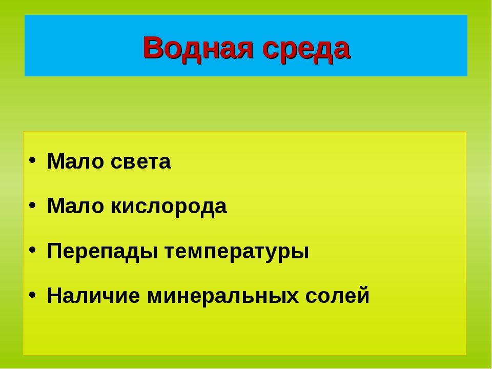 Мало света. Синквейн на тему организменная среда. Синквейн на тему водной среды обитания. Синквейн водная среда. Свет в водной среде.