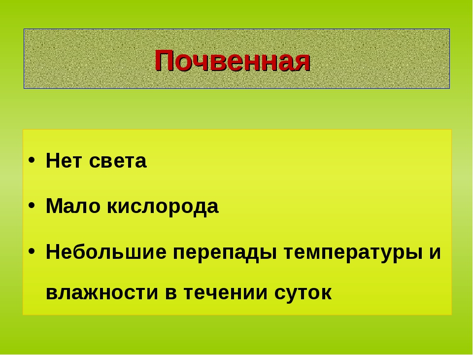 Сделайте описание осота по следующему плану