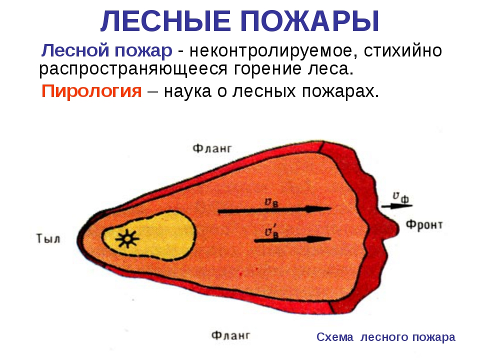 Схема лесных пожаров