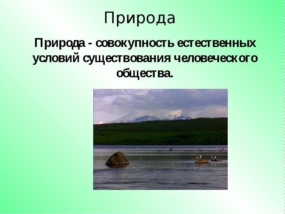 Физическая обусловленность их природы презентация