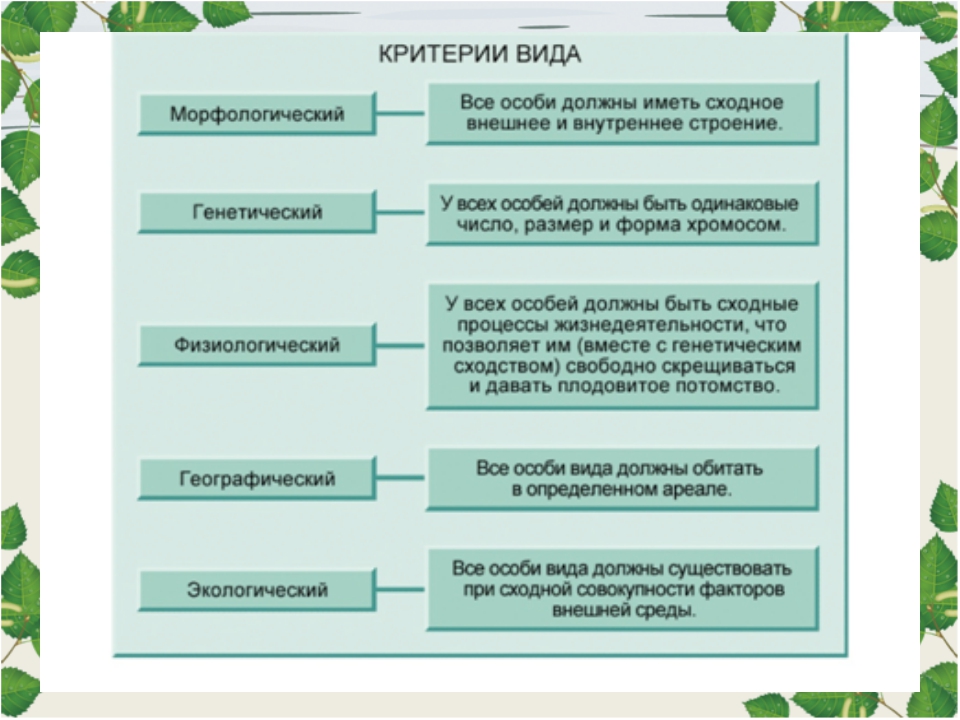 Понятие вида в биологии презентация