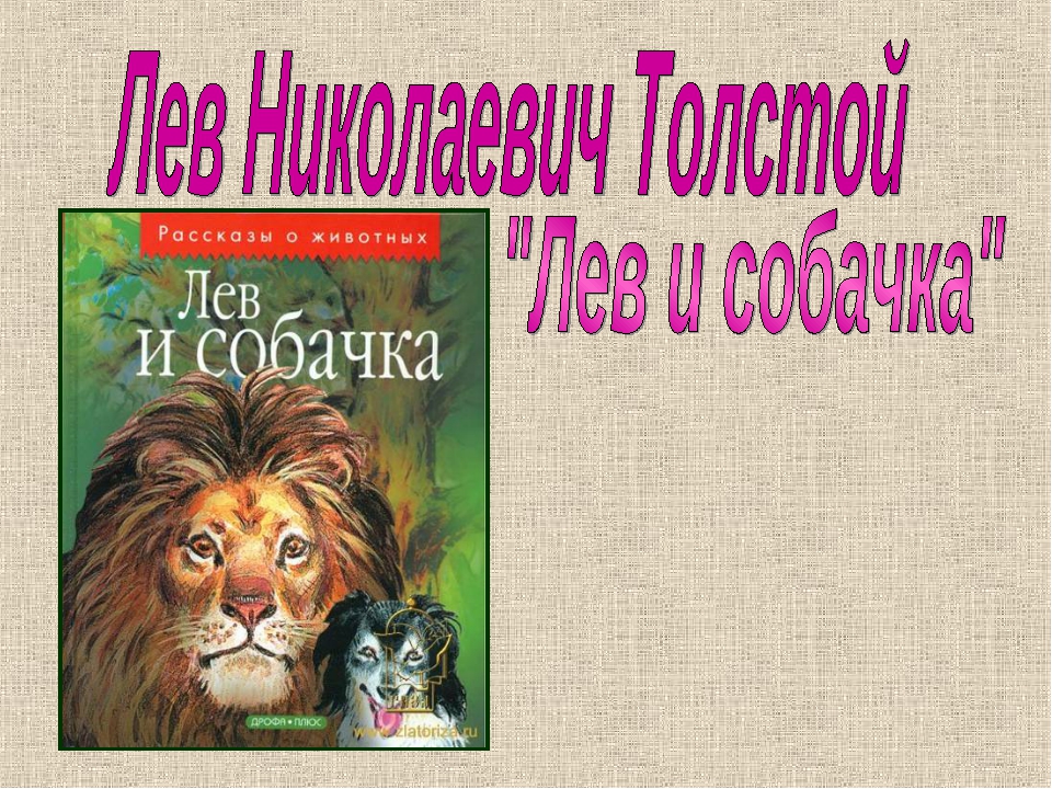 Герои рассказа лев и собачка. Книга Лев и собачка толстой. Аннотация Лев и собачка. Аннотация Лев и собачка толстой. Презентация о книге Лев и собачка.