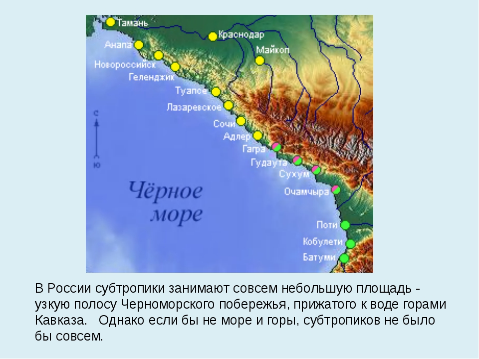 Субтропики на побережье какого моря находится