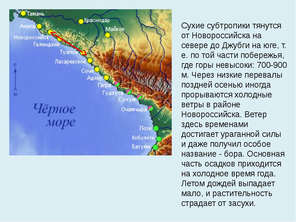 Карта субтропиков мира