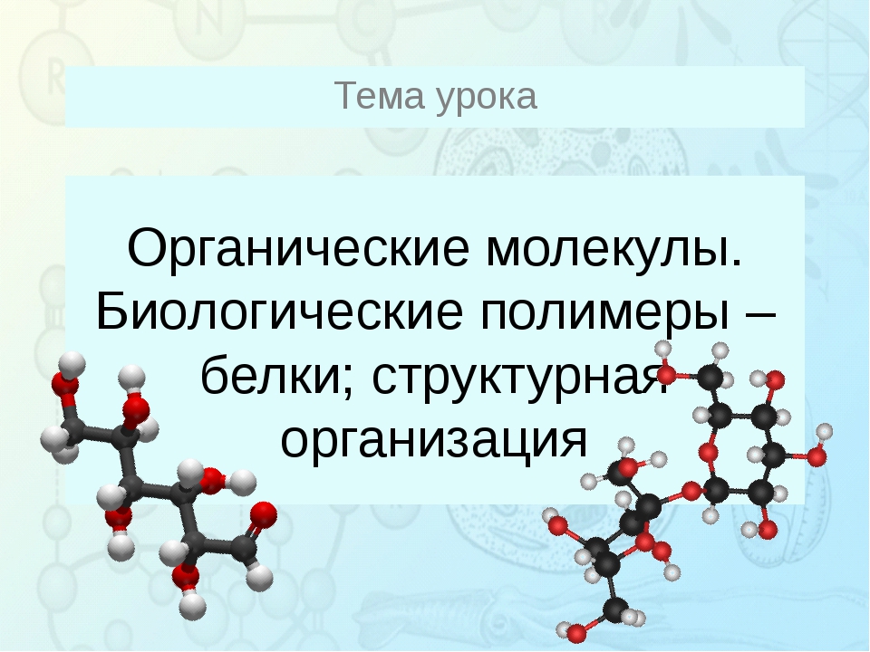 Презентация по органике