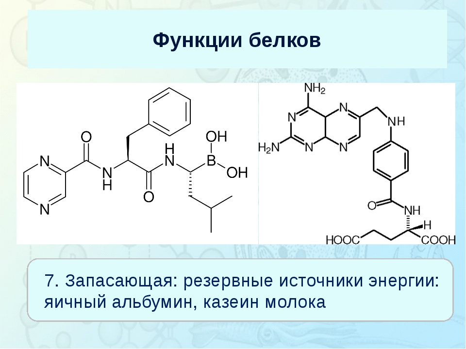 Белки выполняют запасающую функцию. Запасающая функция белков. Яичный альбумин функция белка. Казеин молока функции. Запасающая функция белков характеристика.