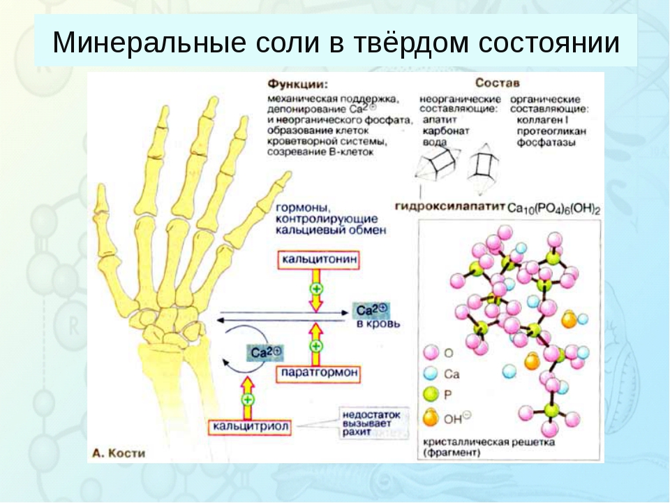 Презентация на тему минеральные соли