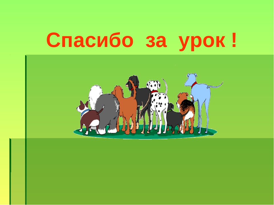 Спасибо за урок животные. Презентация о собакебалогка. Задача про сено лошадь коза и овца. Спереди впереди вилы сзади метла а посередине стог кто это. Порода собак болонка как лает звук.