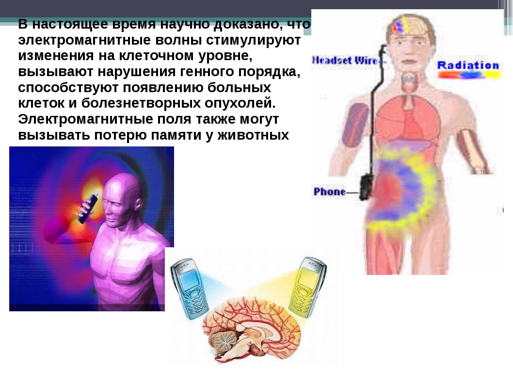 Курская магнитная аномалия презентация по физике