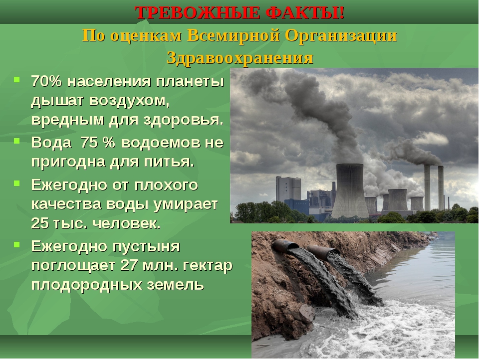 Проблема 4 2. Факты об окружающей среде. Факты об экологии. Экологические факты интересные. Интересные факты об окружающей среде.