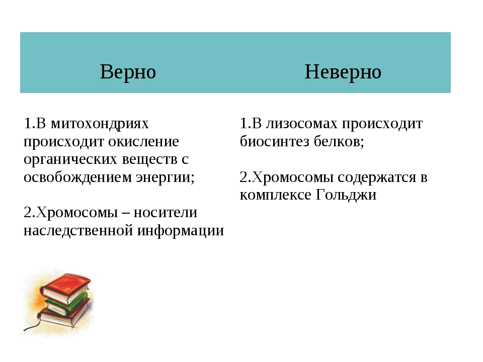 Верно или неверно 5 класс виленкин презентация