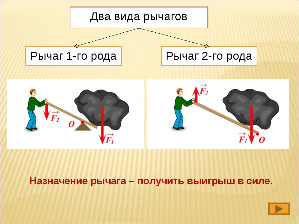 Какие два рода существуют в природе. Рычаги первого и второго рода физика. Рычаг физика 2 вида. Рычаги 1 и 2 рода в физике. Виды рычага второго рода.