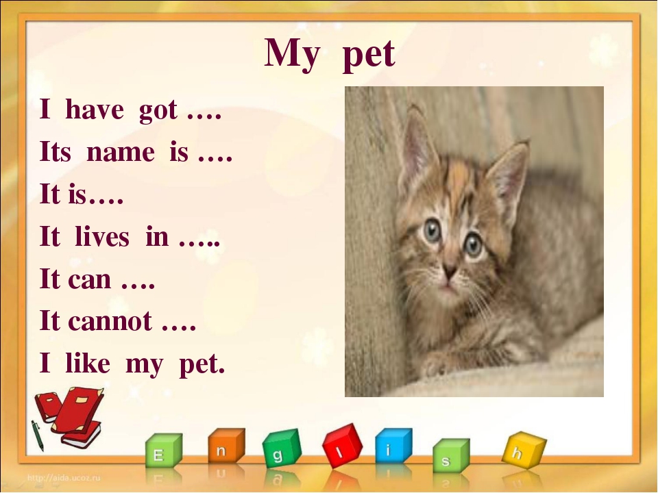 Английский язык 3 класс проект my pet