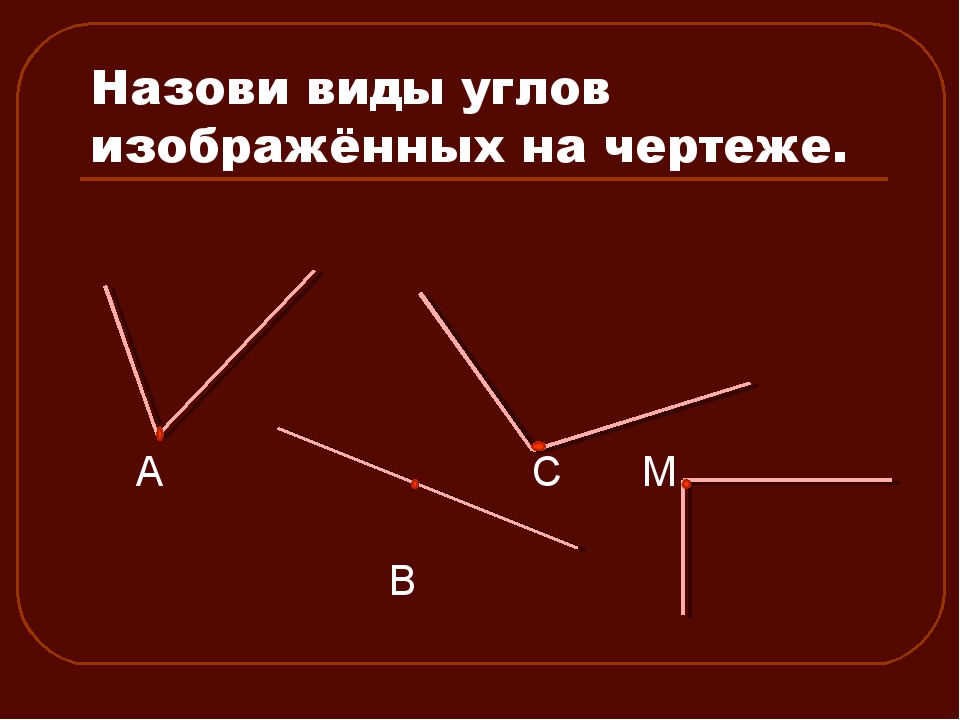 Тема круговые диаграммы 5 класс